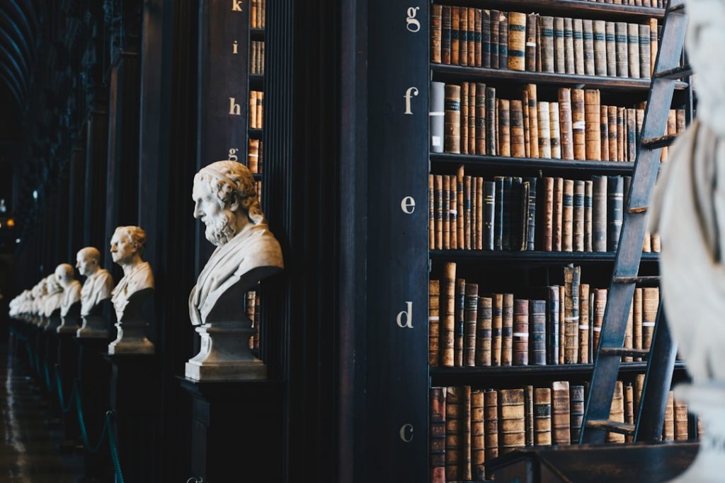 book-lot-on-black-wooden-shelf-zeh-ljawhtg book-lot-on-black-wooden-shelf-zeh-ljawhtg